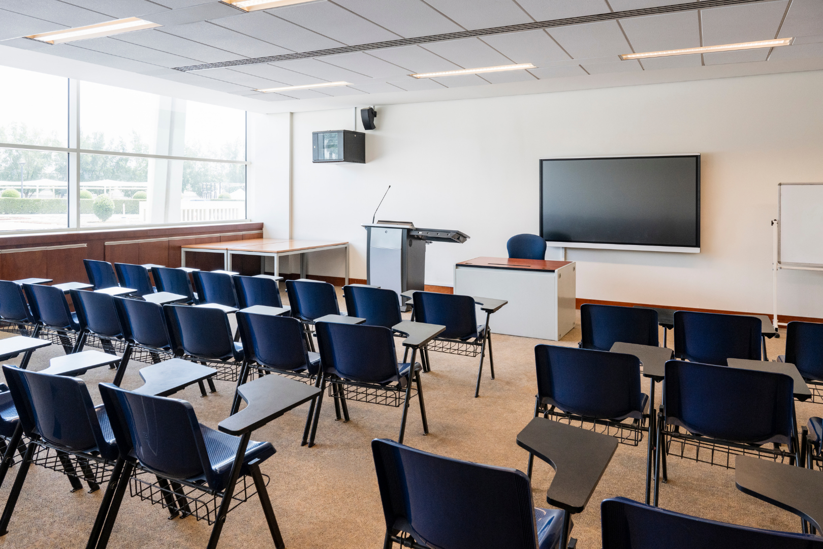 Sector Educativo